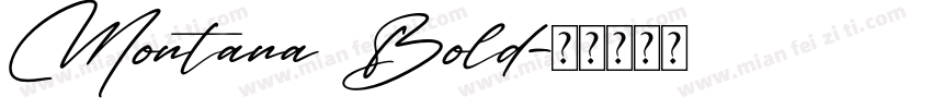 Montana Bold字体转换
